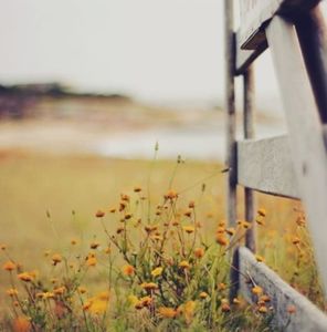 Meet your Posher, Toria